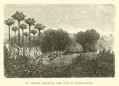 An Indian Clearing and Hut at Polohuatini by Edouard Riou